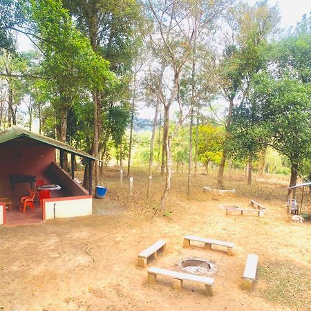 Shrenya Orchidz-Coorg Nature Stay 马迪凯里 外观 照片