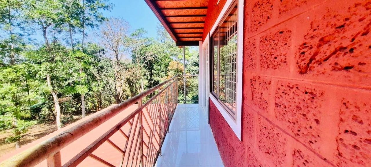 Shrenya Orchidz-Coorg Nature Stay 马迪凯里 外观 照片