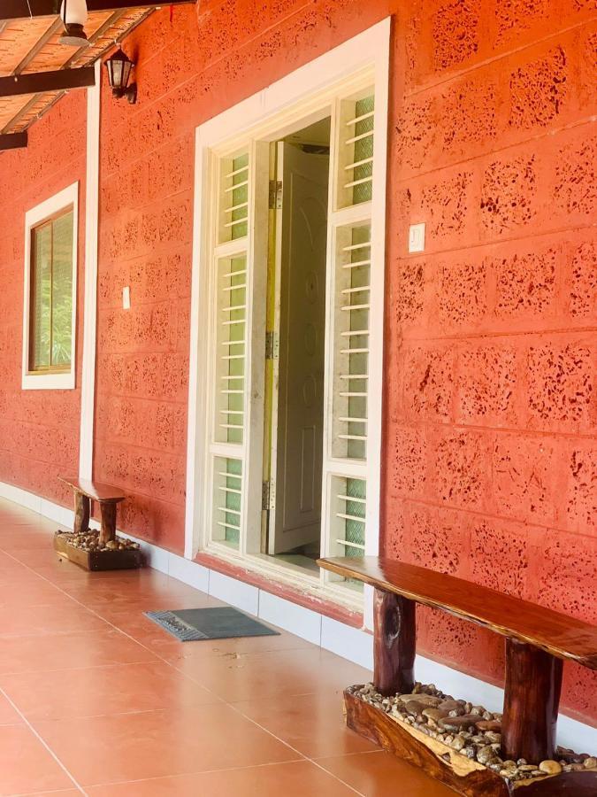 Shrenya Orchidz-Coorg Nature Stay 马迪凯里 外观 照片