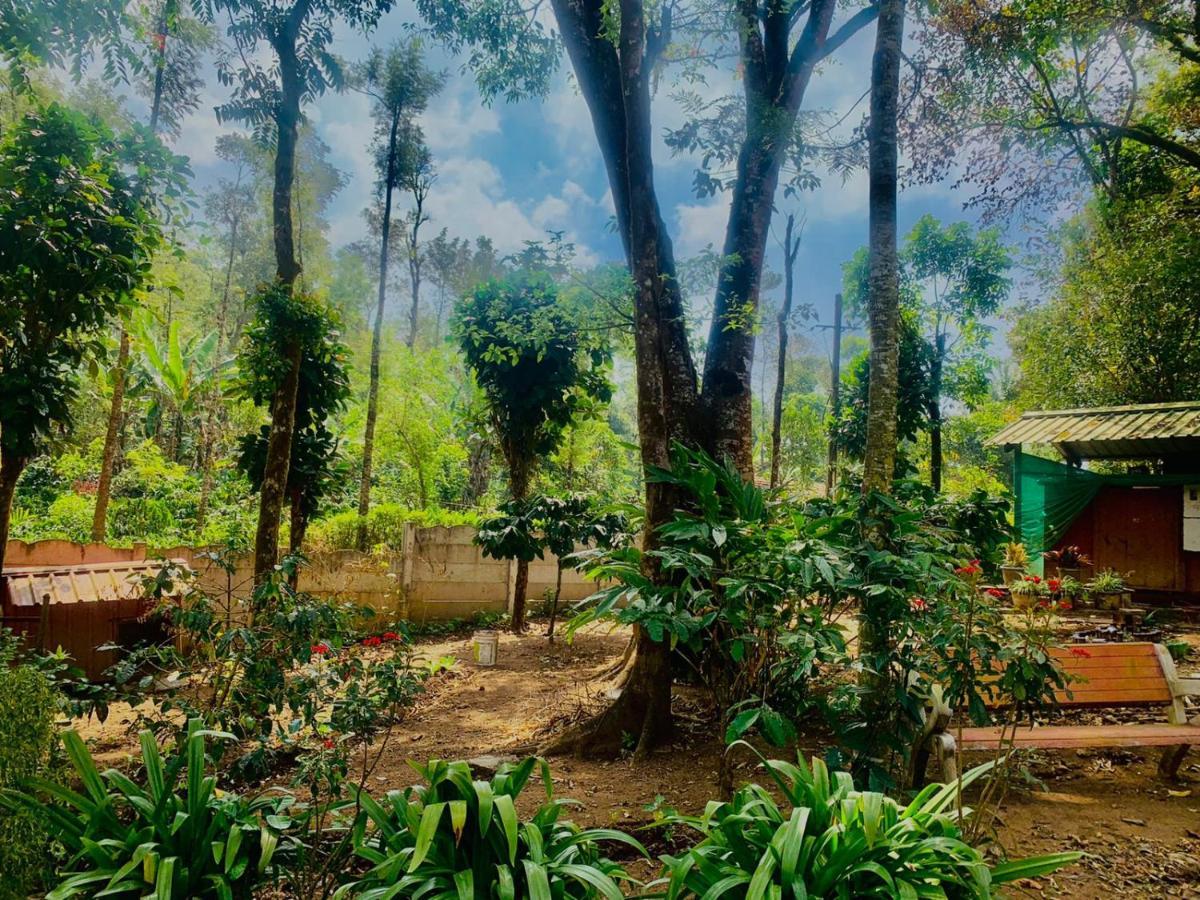 Shrenya Orchidz-Coorg Nature Stay 马迪凯里 外观 照片