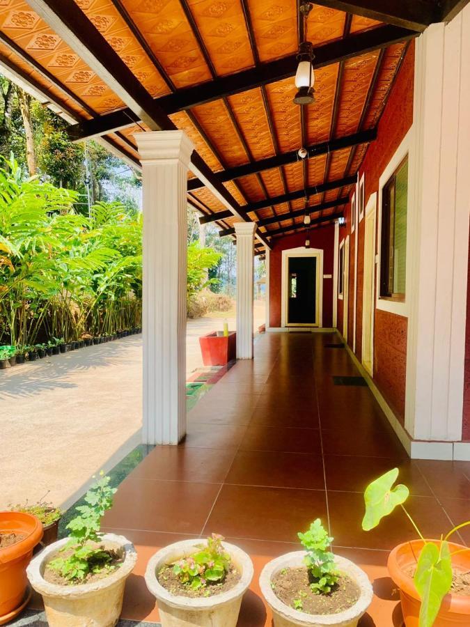 Shrenya Orchidz-Coorg Nature Stay 马迪凯里 外观 照片