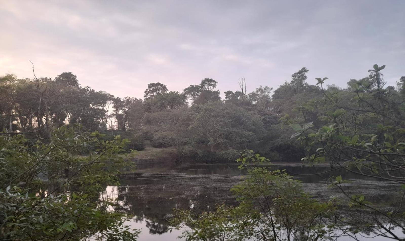 Shrenya Orchidz-Coorg Nature Stay 马迪凯里 外观 照片
