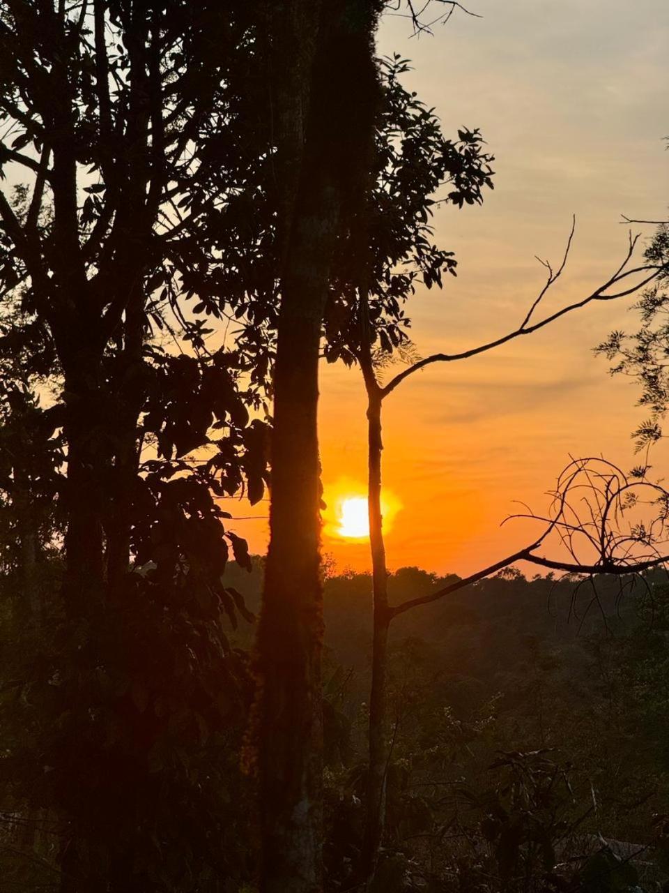 Shrenya Orchidz-Coorg Nature Stay 马迪凯里 外观 照片