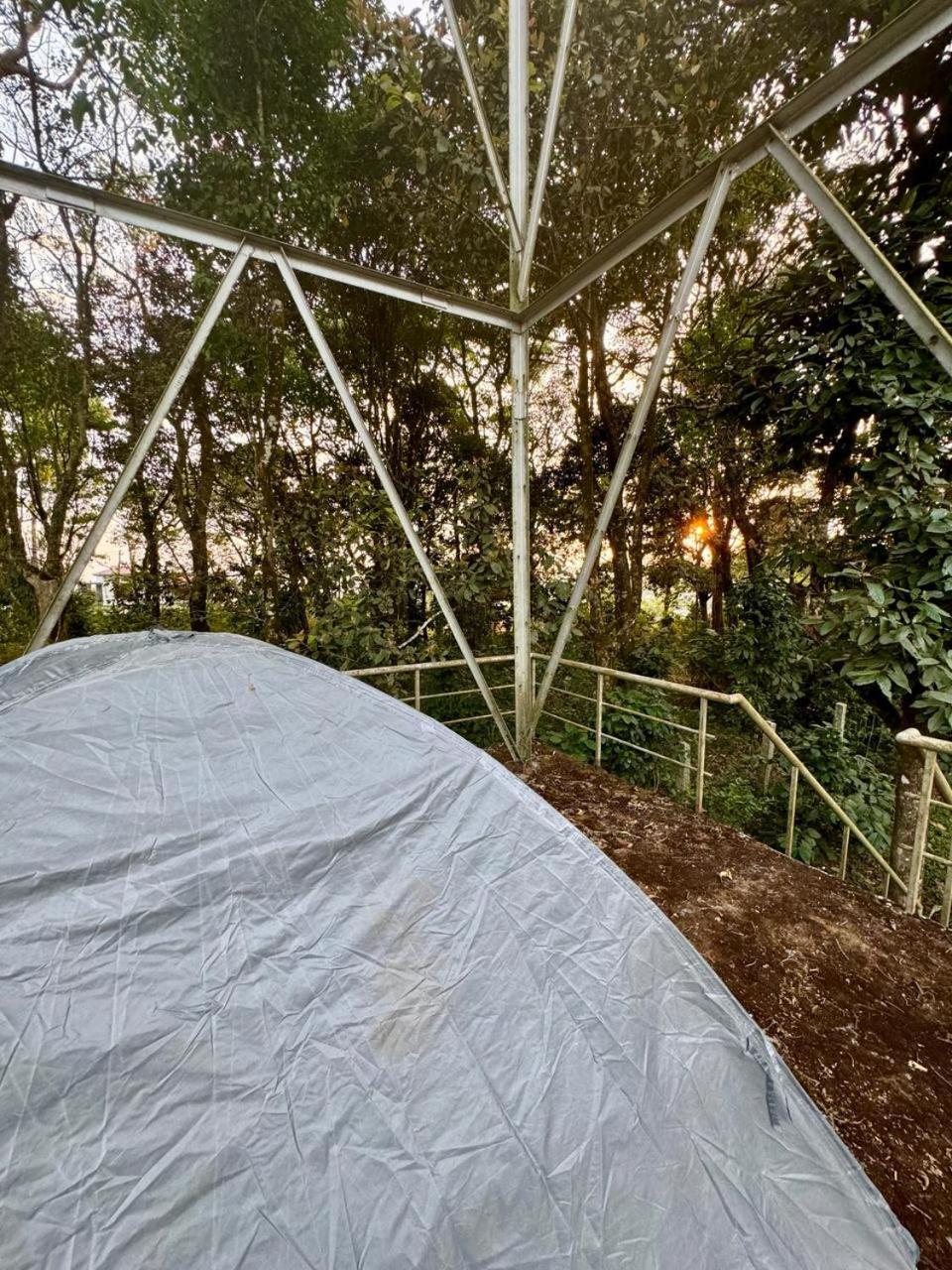 Shrenya Orchidz-Coorg Nature Stay 马迪凯里 外观 照片