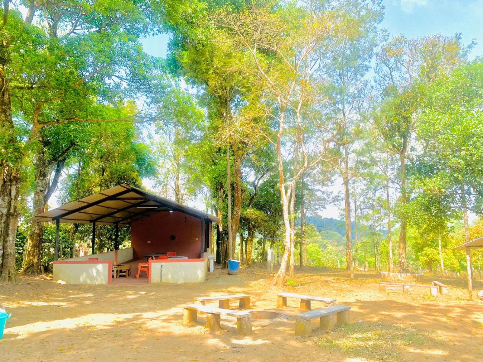 Shrenya Orchidz-Coorg Nature Stay 马迪凯里 外观 照片